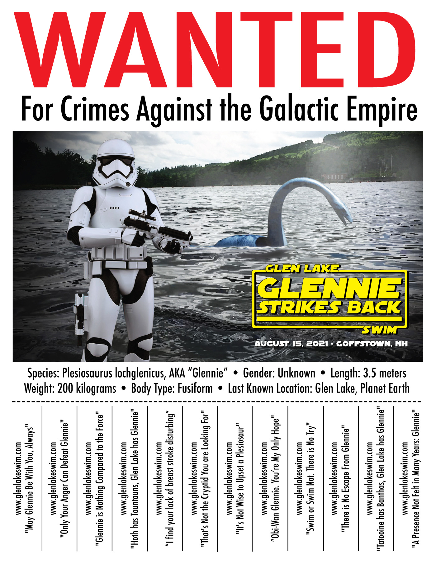 Glennie Strikes Back Flyer